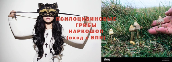стаф Белоозёрский